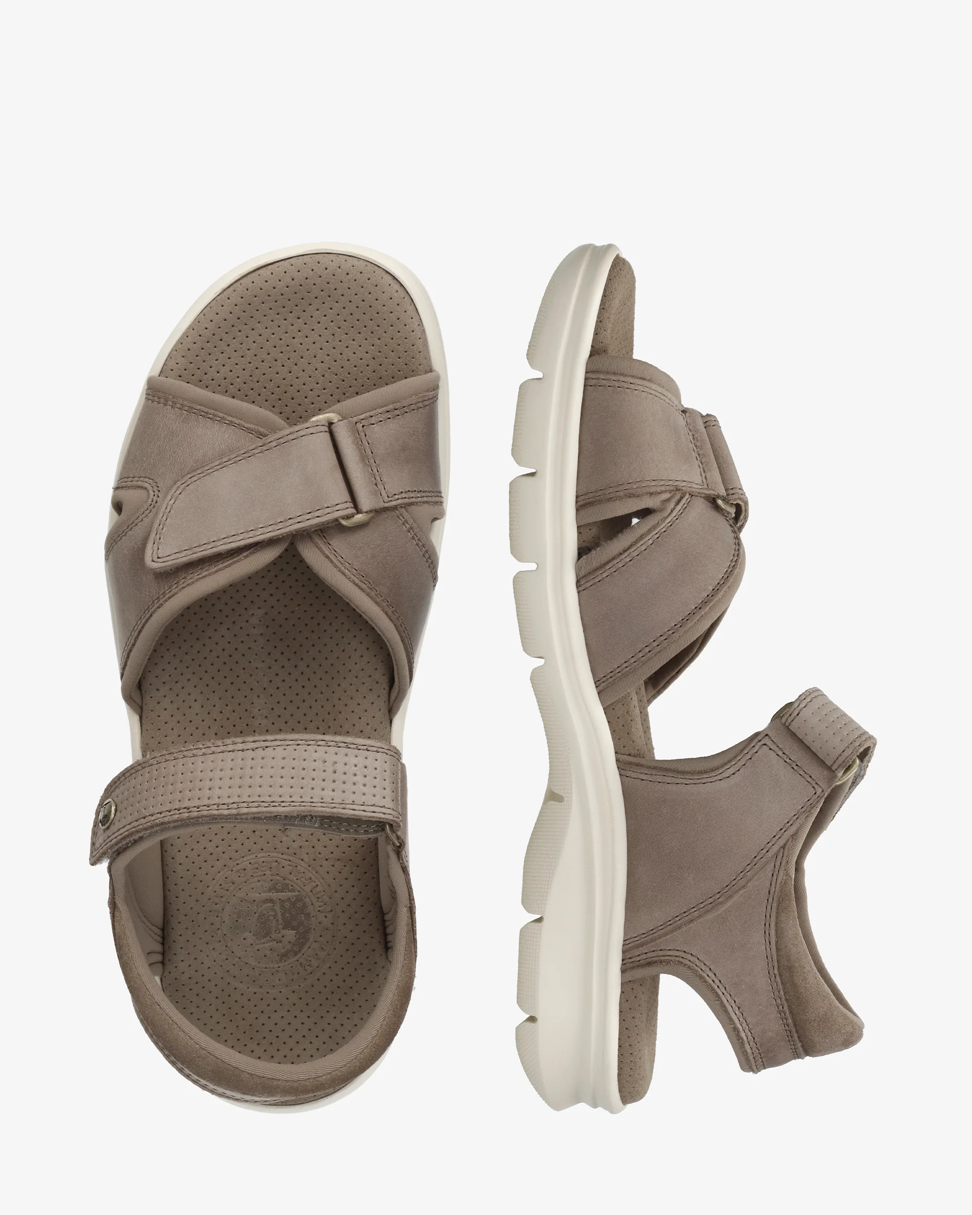 Sanders C26 Napa Grass Taupe