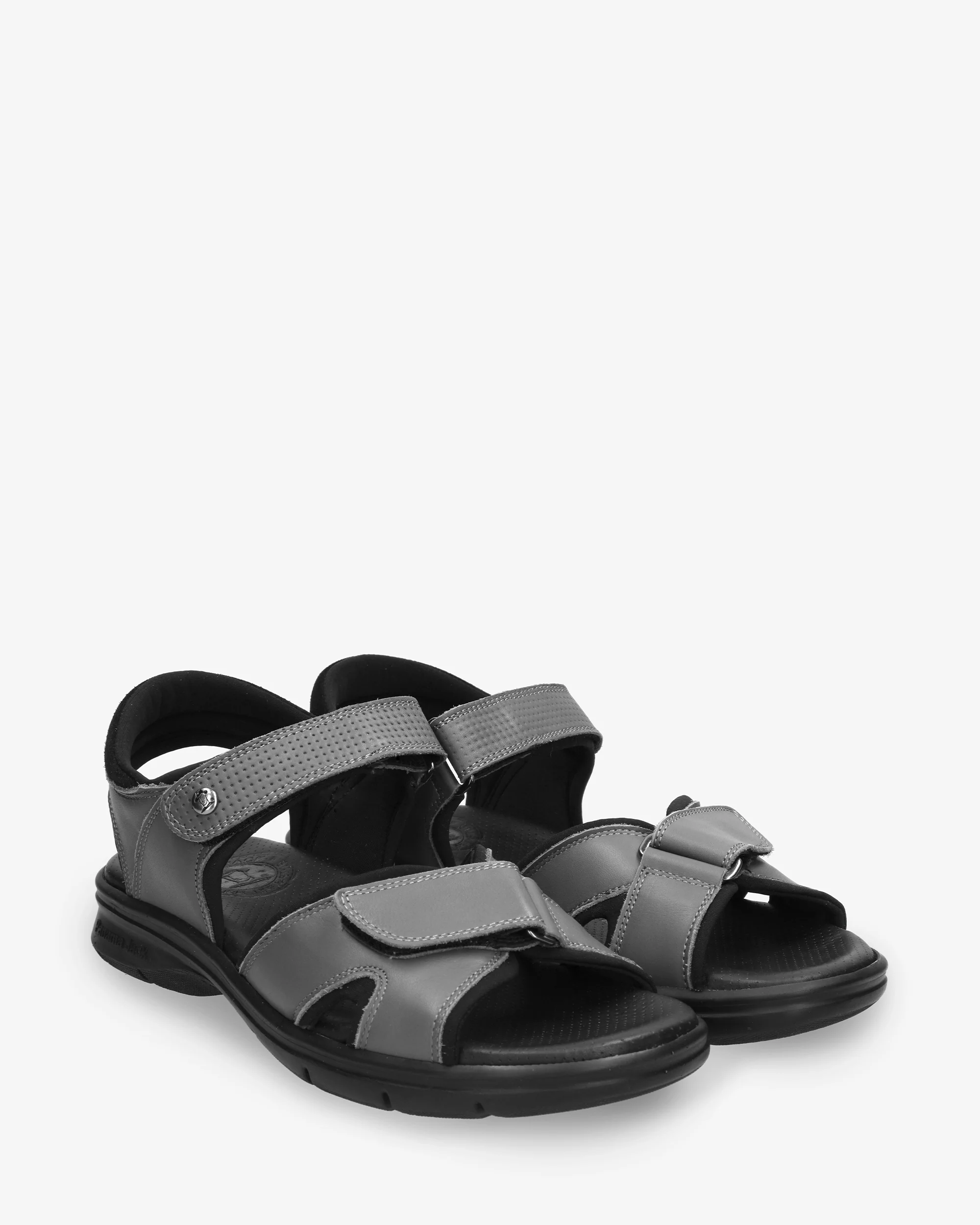 Sanders C29 Napa Gris