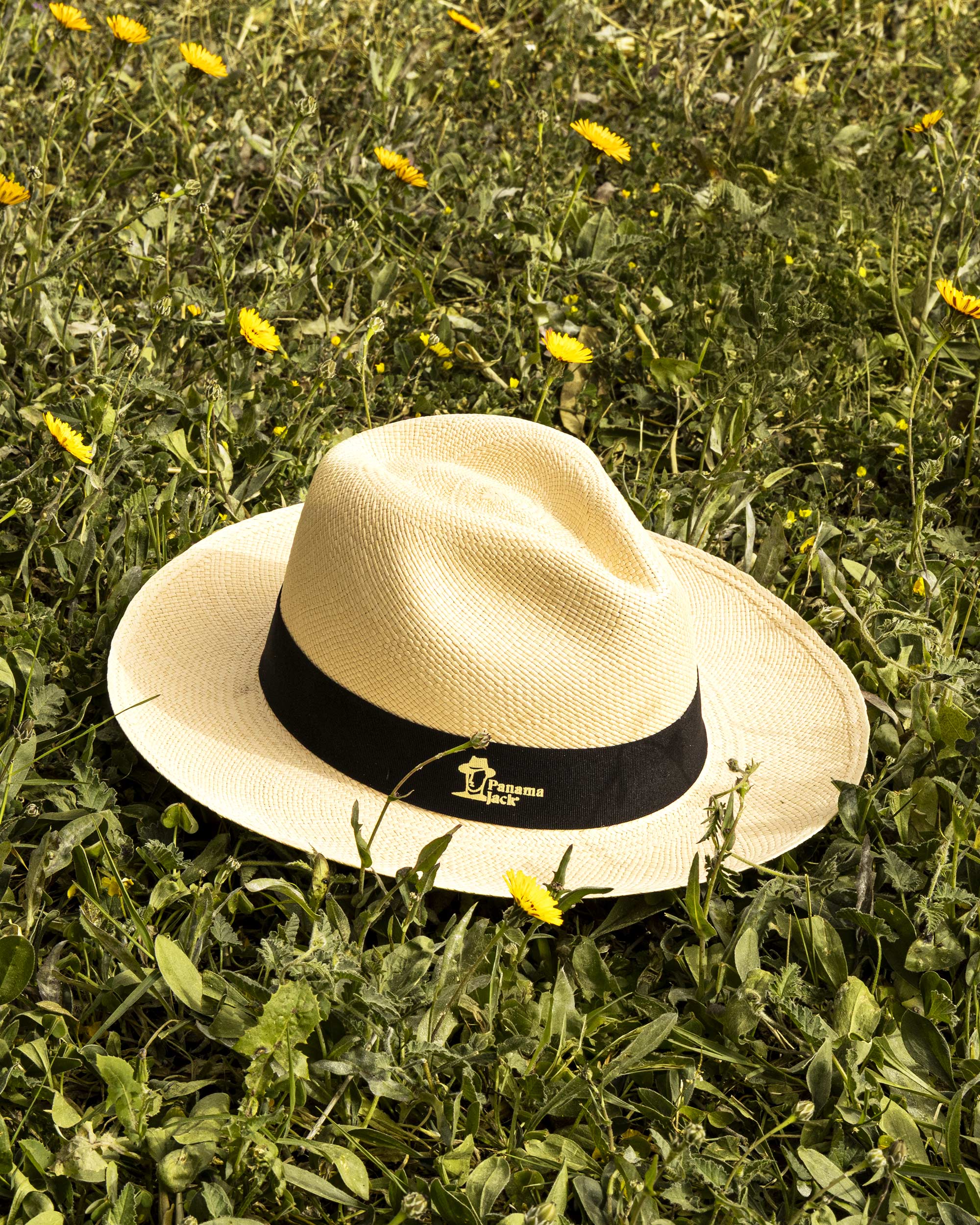 Sombrero Panama Natural F1   Natural